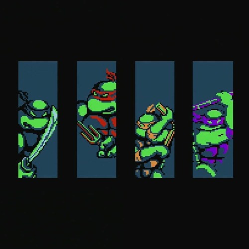 60 - Turtles 1